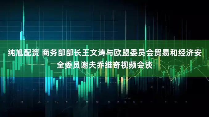纯旭配资 商务部部长王文涛与欧盟委员会贸易和经济安全委员谢夫乔维奇视频会谈