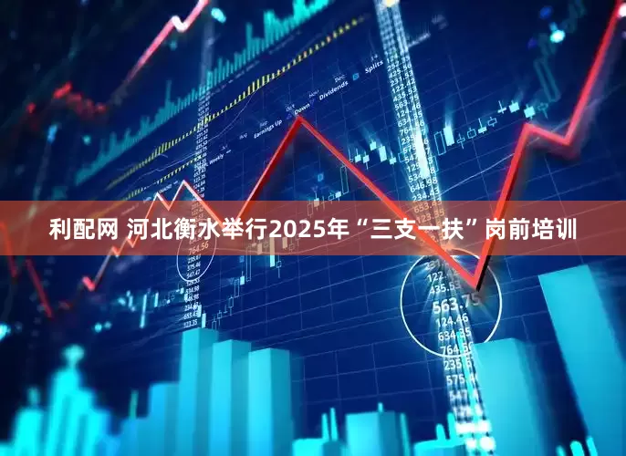 利配网 河北衡水举行2025年“三支一扶”岗前培训